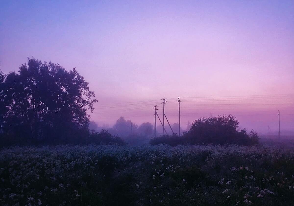 星空体育app：点亮每一次跑道与球场的星光
